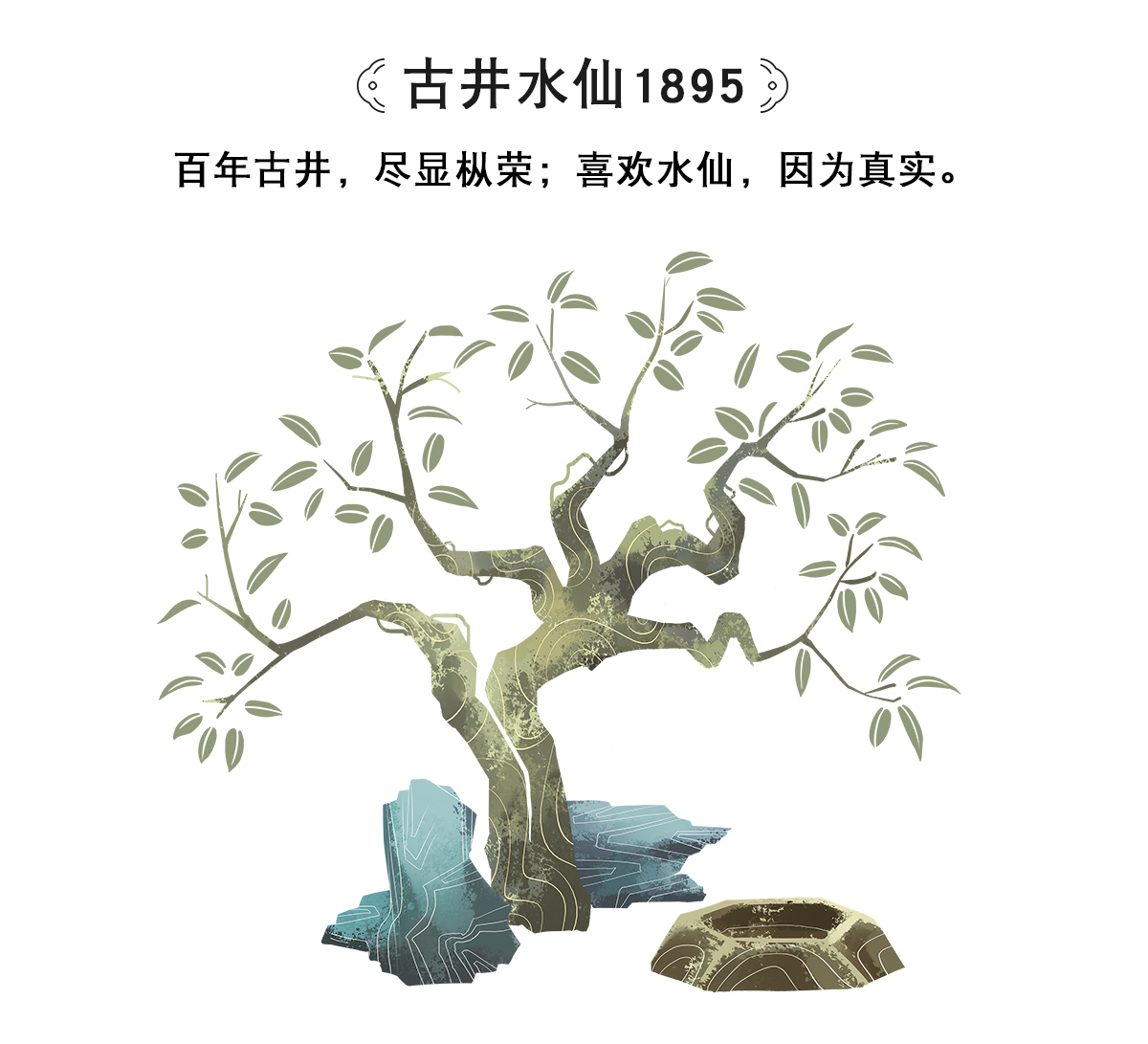 《古井水仙1895》——尽显枞荣,天心明月包装创意设计欣赏.