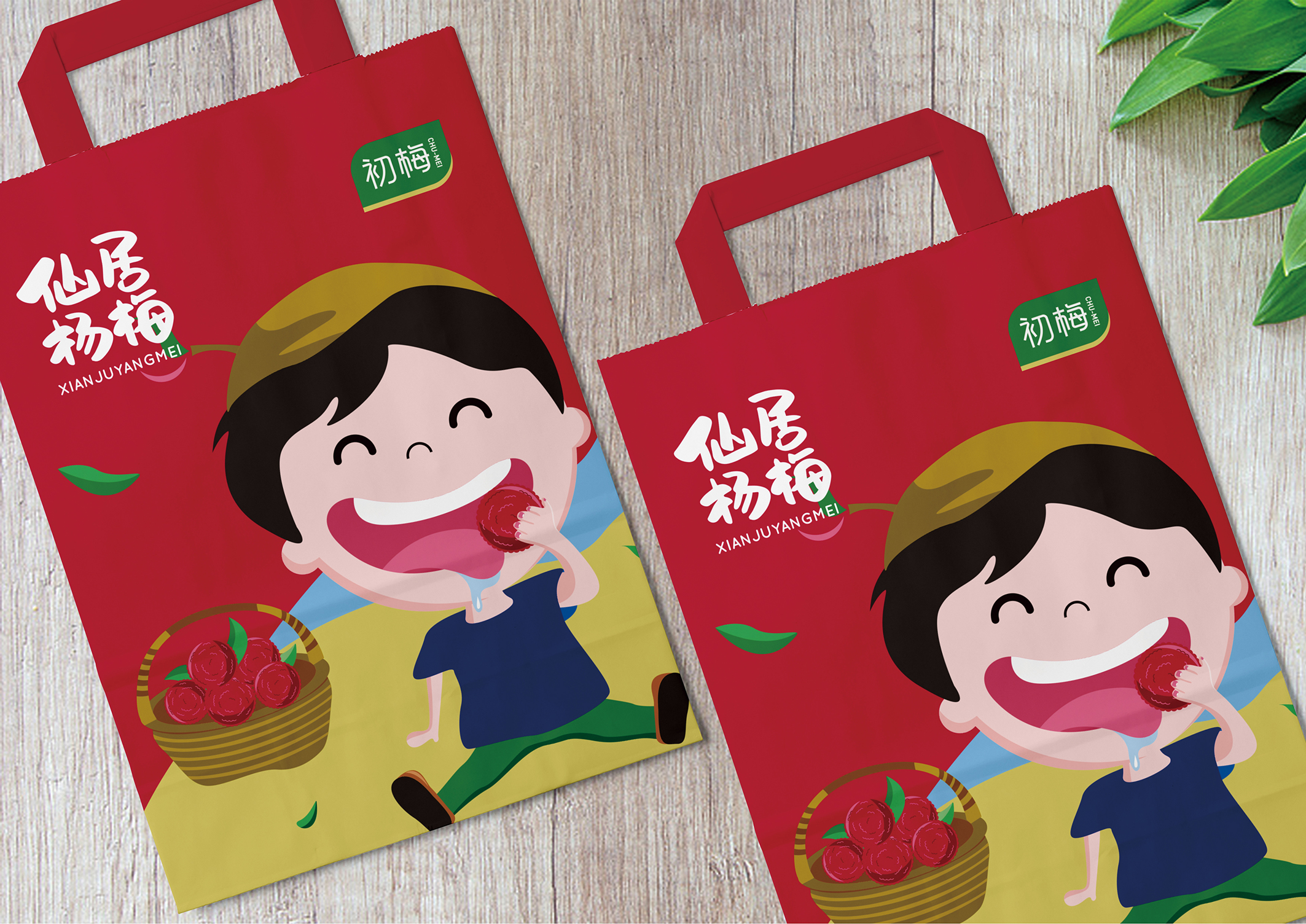 《仙居杨梅》包装设计